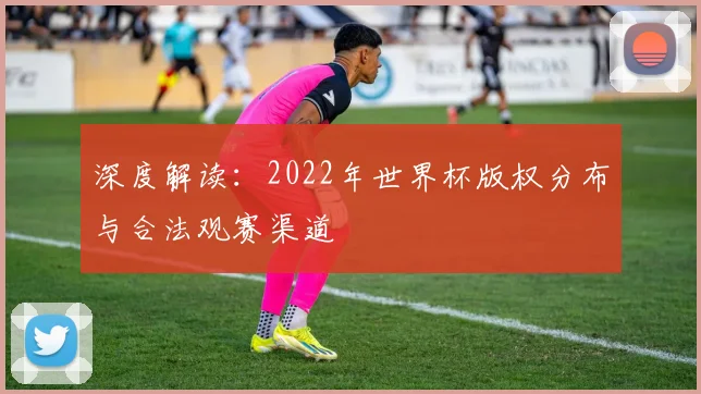 深度解读：2022年世界杯版权分布与合法观赛渠道