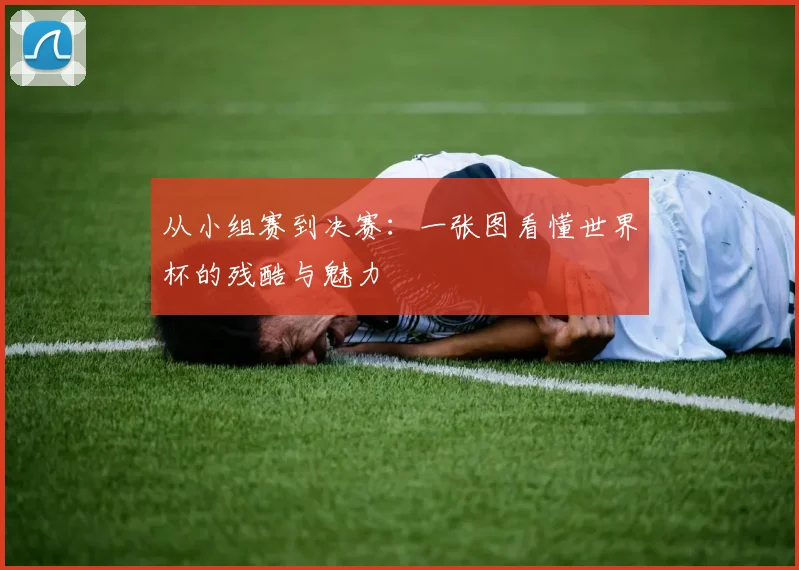 从小组赛到决赛:一张图看懂世界杯的残酷与魅力