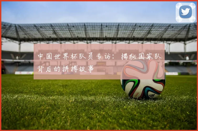 中国世界杯队员专访：揭秘国家队背后的拼搏故事