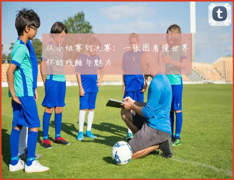从小组赛到决赛:一张图看懂世界杯的残酷与魅力